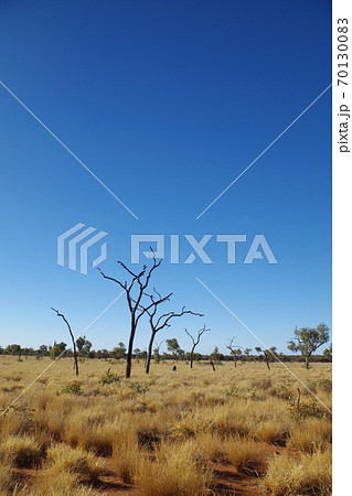 オーストラリア　アウトバック　内陸 70130083