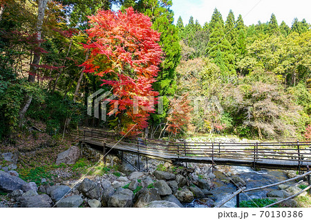 阿蘇野川(由布市)、白水鉱泉付近の紅葉 阿蘇野川(由布市)、白水鉱泉付近の紅葉 70130386
