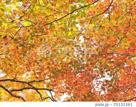 群馬県・妙義山 群馬県・妙義山 70132361