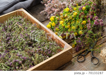 Wooden crate filled with dry healthy thyme flowers, scissors, apron and bunch fresh medicinal plants on wooden table. Alternative medicine. Top view. Flat lay. 70133287