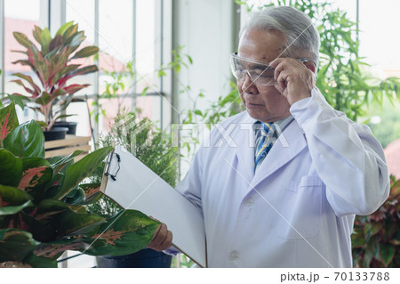 portrait of old man with a seedling portrait of old man with a seedling 70133788