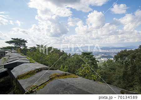 木 城壁 風景 70134589