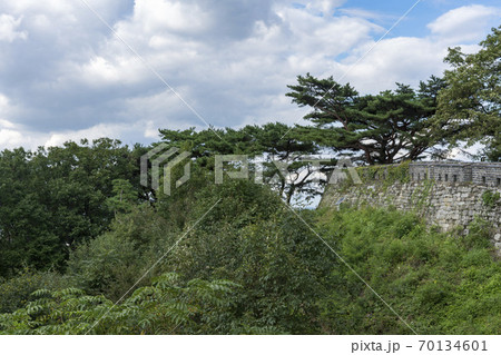 木 風景 空 70134601