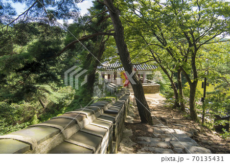 南漢山城 木 風景 70135431