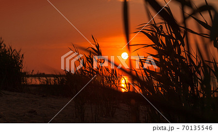 Red sunset sky over Gulf of Finland, summer evening 70135546
