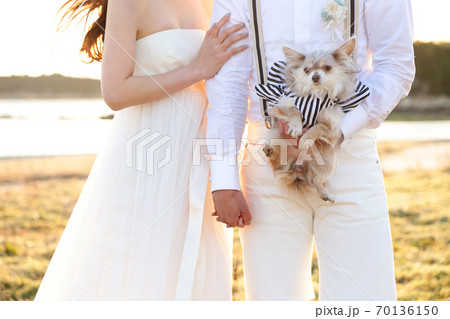 夕陽の中手を繋ぐ新郎新婦 夕陽の中手を繋ぐ新郎新婦 70136150