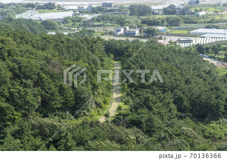 風景 山 安山市 70136366