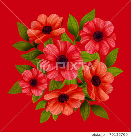 Flowers. Red poppies on red background. Vector illustration. Flowers. Red poppies on red background. Vector illustration. 70136760
