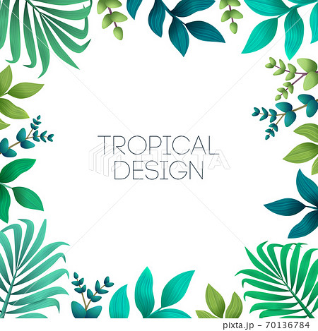 Colorful summer tropical background with exotic palm leaves and hibiscus flowers. Vector floral background.. Colorful summer tropical background with exotic palm leaves and hibiscus flowers. Vector floral background.. 70136784
