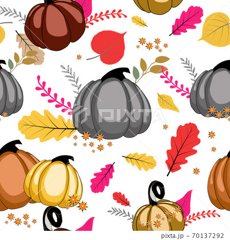 Pumpkin color vector seamless pattern on white background  70137292