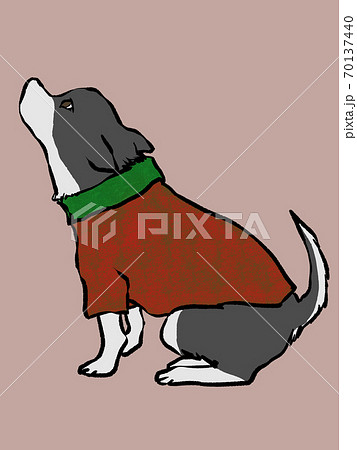 ニットを着た小型犬がお座りしている手描きイラストのイラスト素材