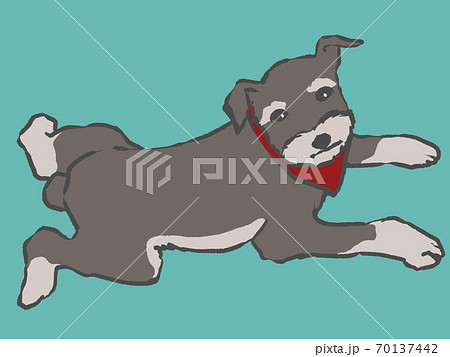 赤いタイを付けた小型犬が伏せをしている手描きイラストのイラスト素材