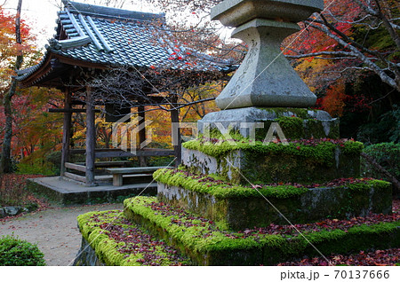 勝持寺の紅葉（京都市） 70137666
