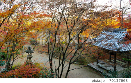 勝持寺の紅葉(京都市) 勝持寺の紅葉(京都市) 70137668