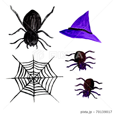 蜘蛛と蜘蛛の巣 水彩画 のイラスト素材