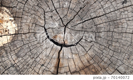 Old cracked wood 70140072