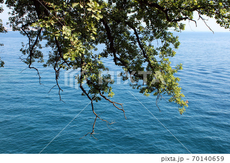 Lungomare Volosko-Opatija-Lovran, seaside promenade details, Kvarner bay, Croatia, Europe 70140659
