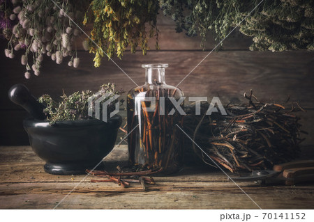 Comarum palustre (Potentilla palustris) stems and infusion bottle, hanging bunches of medical herbs, mortar of thyme flowers. Comarum palustre (Potentilla palustris) stems and infusion bottle, hanging bunches of medical herbs, mortar of thyme flowers. 70141152