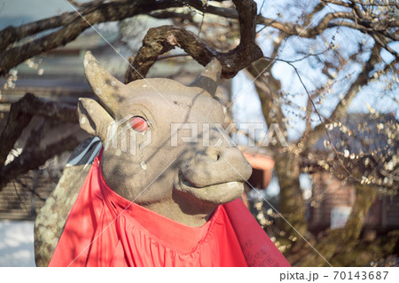 北野天満宮、赤目の牛に白梅の枝ぶり 70143687