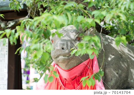 北野天満宮、新緑の間から覗く赤目の牛の鼻面 北野天満宮、新緑の間から覗く赤目の牛の鼻面 70143704