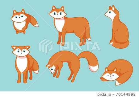 Set of little foxes. Character in cartoon style. Vector illustration 70144998