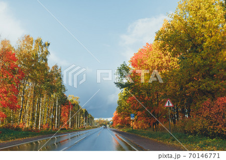 wet highway and autumn trees with colorful foliage 70146771