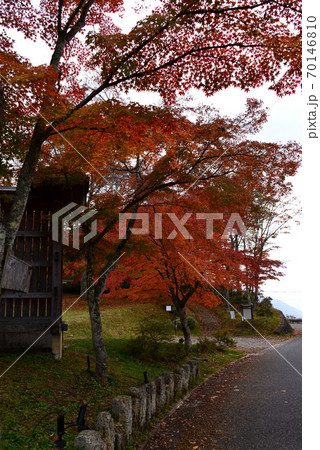 三峯神社の紅葉 三峯神社の紅葉 70146810