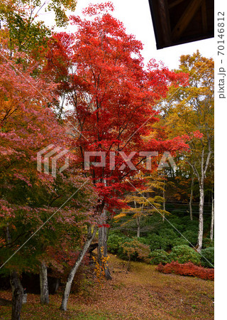 三峯神社の紅葉 三峯神社の紅葉 70146812