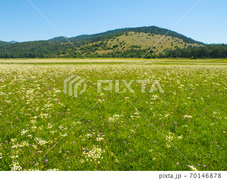 Intermittent Lake Petelinje 70146878