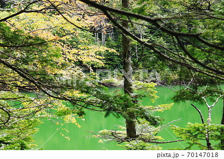 初秋の北八ヶ岳　神秘的な双子池　雌池 70147018