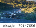 Hawk Caracara Clancus at Petrohue fall, Puerto Varas area. South of Chile. 70147656