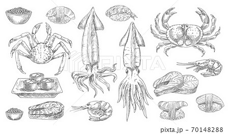 Seafood, sketch food of sea, fish and sushi icons Seafood, sketch food of sea, fish and sushi icons 70148288