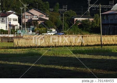 秋の田園風景 70148455