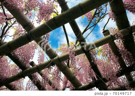 静岡県、修善寺 静岡県、修善寺 70149717