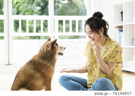 お手の練習をする若い女性と犬 お手の練習をする若い女性と犬 70149957