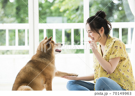 お手の練習をする若い女性と犬の写真素材