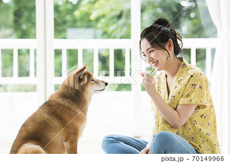 お手の練習をする若い女性と犬 お手の練習をする若い女性と犬 70149966