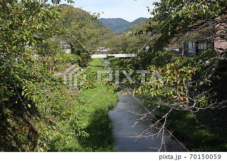 山口一ノ坂川の初秋の風景 70150059