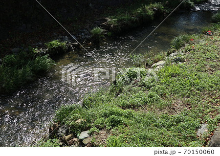 山口一ノ坂川の初秋の風景 山口一ノ坂川の初秋の風景 70150060