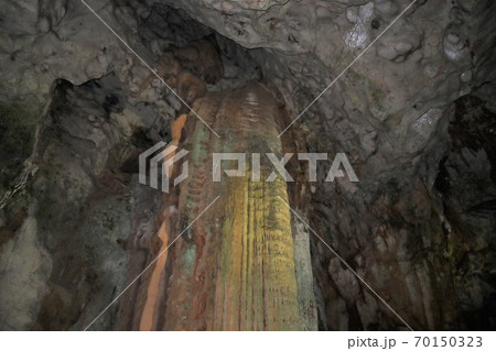 山口秋芳洞 70150323