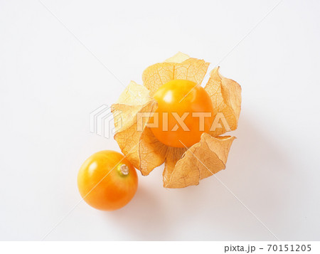 食用ほおずき 白背景で 食用ほおずき 白背景で 70151205