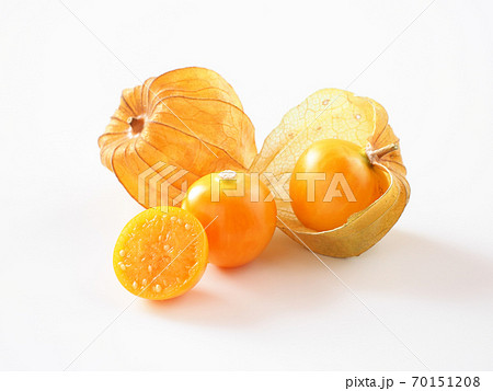 食用ほおずき　白背景で 70151208