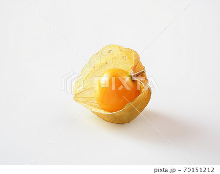 食用ほおずき 白背景での写真素材