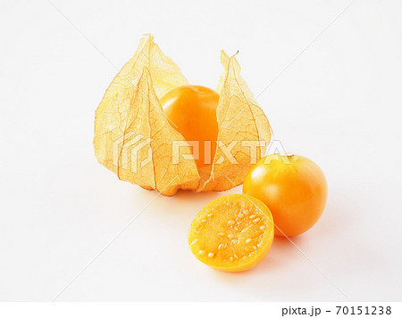 食用ほおずき　白背景で 70151238