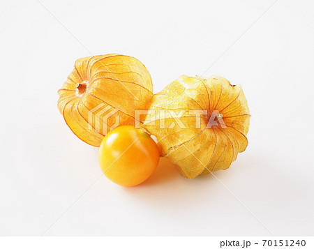 食用ほおずき　白背景で 70151240