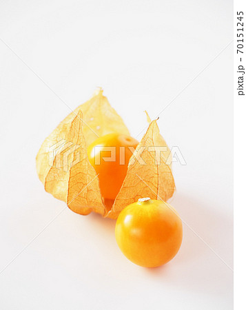 食用ほおずき 白背景での写真素材