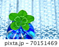 五つ葉クローバー 70151469
