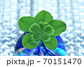 五つ葉クローバー 70151470