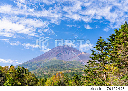 （静岡県）紅葉の始まった水ヶ塚公園から望む、富士山 70152493