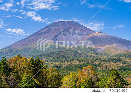 （静岡県）紅葉の始まった水ヶ塚公園から望む、富士山 70152495